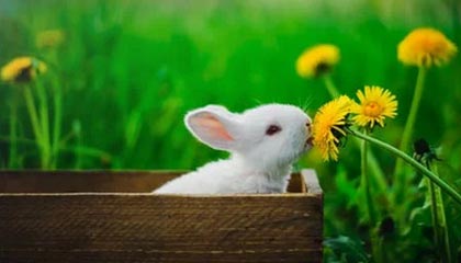 kering.com-曼联正式宣布签约逆天前锋，转会市场火热，曼联引进前锋