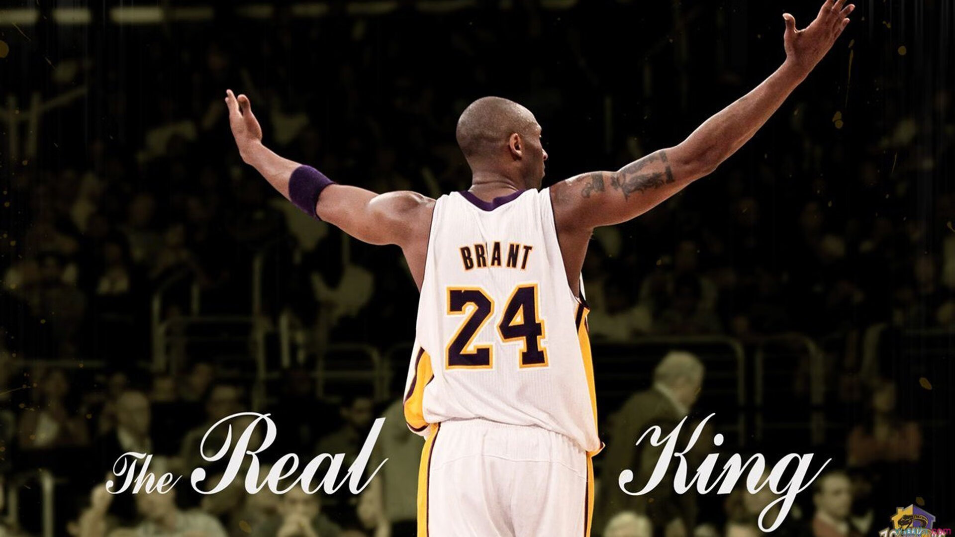 “青春激扬”青少年篮球故事展览在北京盛大开幕,青少年篮球赛主题