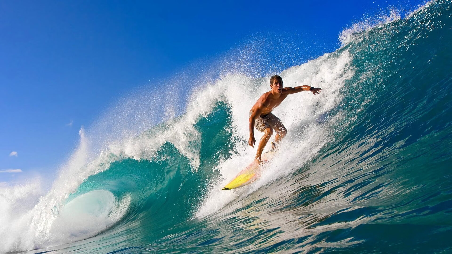 开云电竞入口-德甲激烈，球迷留言支持，德甲消息